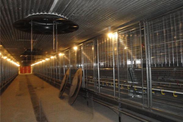 Entreprises d'élevage de porcs et de poules