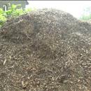 Chauffage central à bois déchiqueté - Biomasse